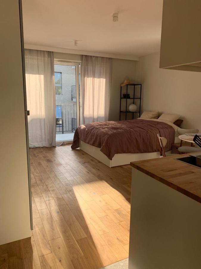Saw! Krakow Apartments - Sliska Екстер'єр фото